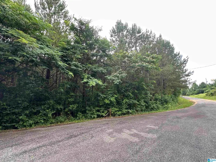 280 VIRGINIA WAY, Margaret, AL 35004 - Image #3