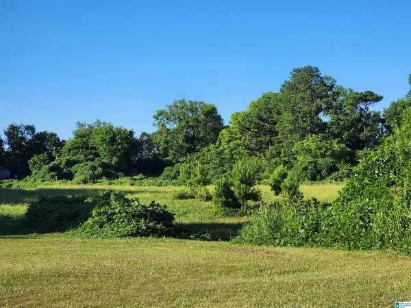 9346 WARRIOR KIMBERLY ROAD, Warrior, AL 35180