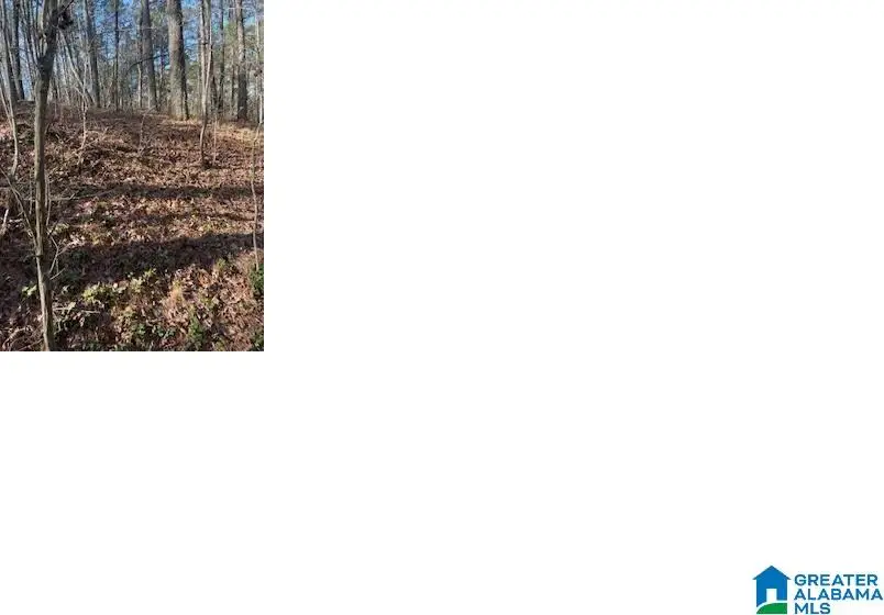 PLUTO CIRCLE, Alpine, AL 35014 - Image #2