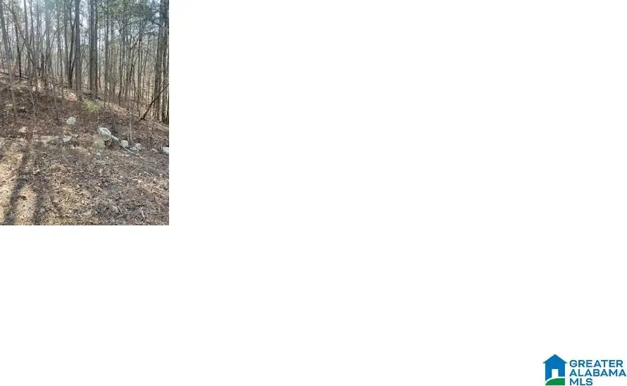 PLUTO CIRCLE, Alpine, AL 35014 - Image #3