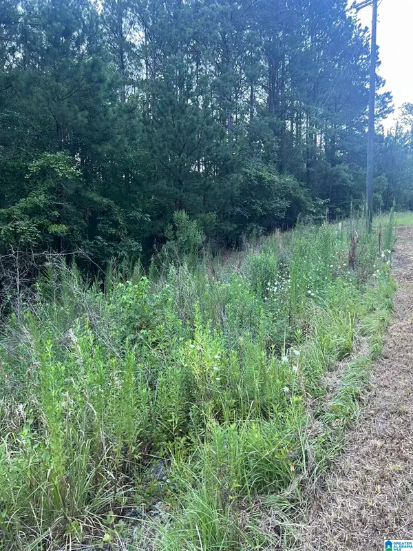 0 SHORE SIDE LANE, Sylacauga, AL 35151