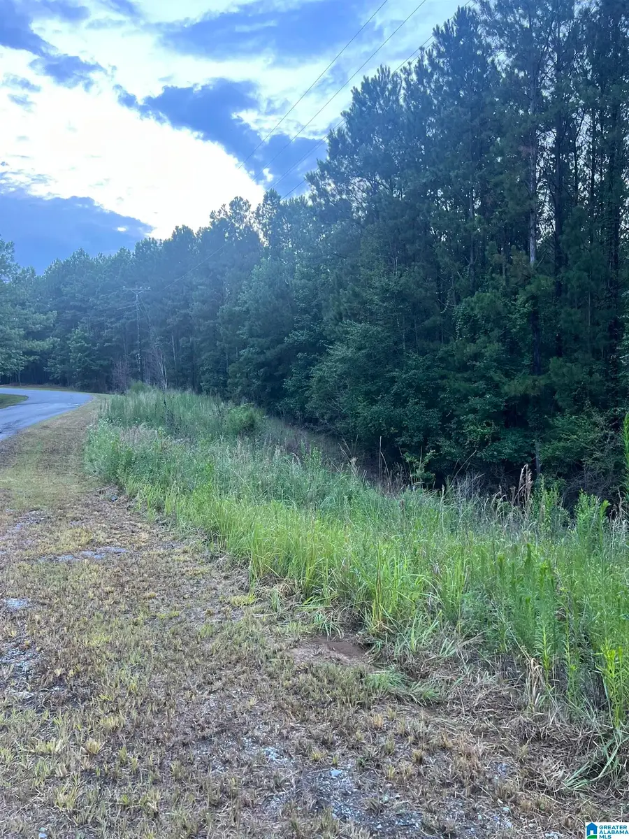 0 SHORE SIDE LANE, Sylacauga, AL 35151 - Image #3