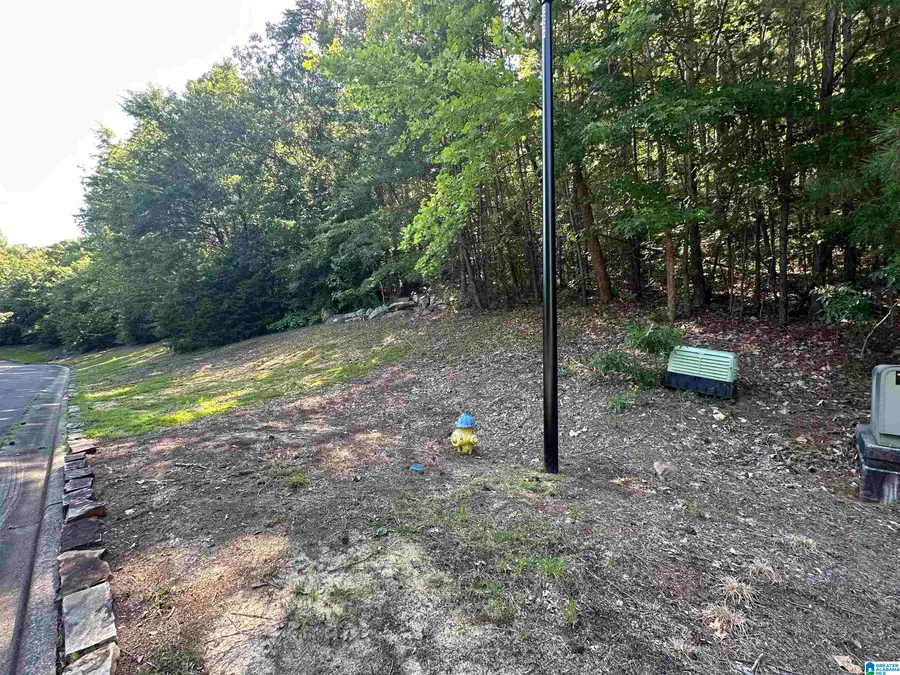 0 BELLERIVE CIRCLE, Oneonta, AL 35121 - Image #2