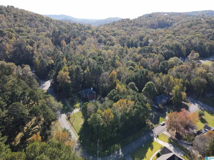 8040 EMERALD LAKE DRIVE, Pinson, AL 35126 - Image #2