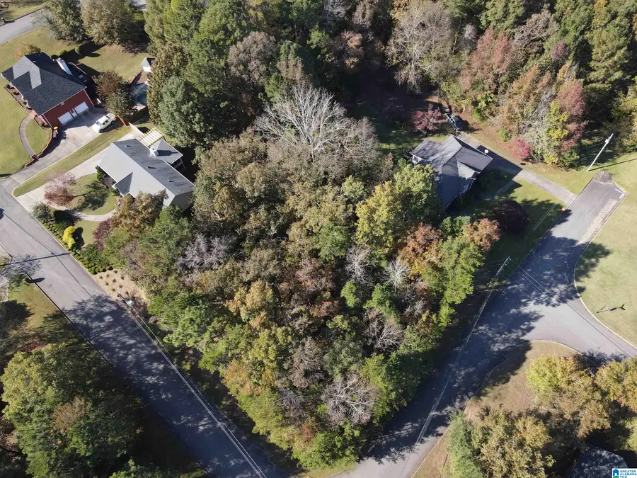 6232 EMERALD FOREST DRIVE, Pinson, AL 35126 - Image #3