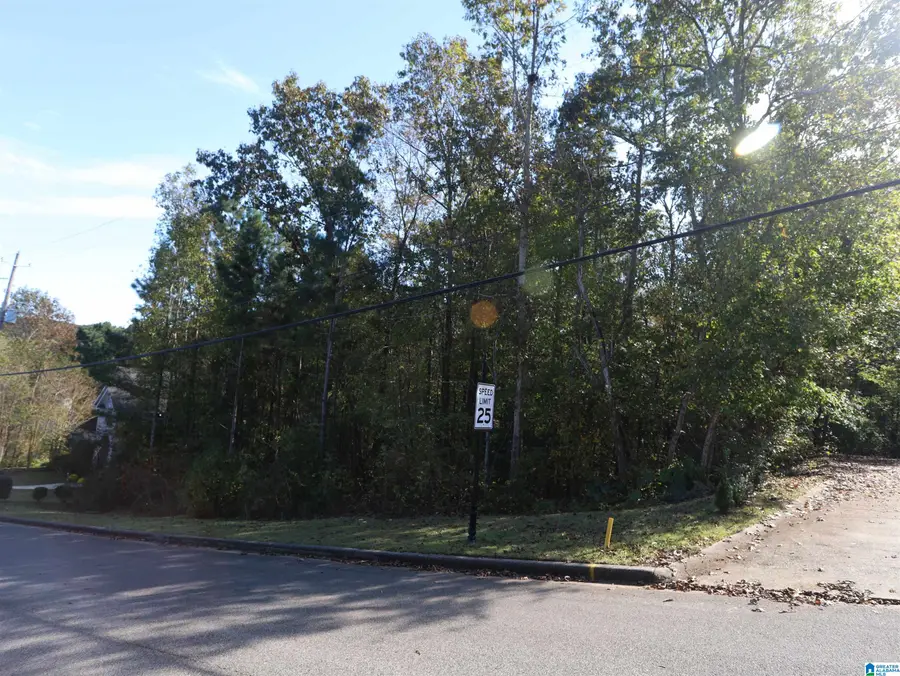 6217 EMERALD FOREST DRIVE, Pinson, AL 35126 - Image #2