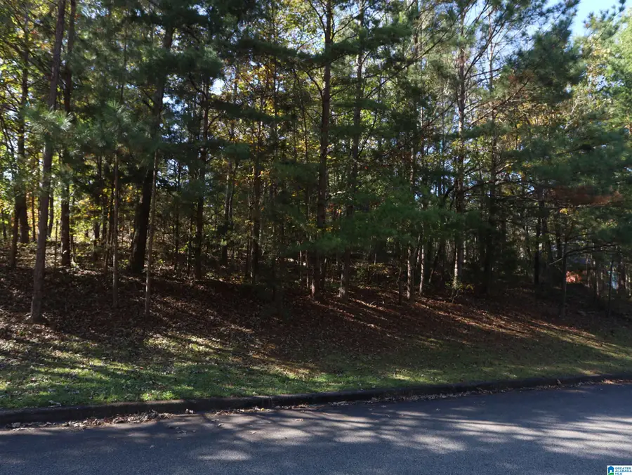 6217 EMERALD FOREST DRIVE, Pinson, AL 35126 - Image #3