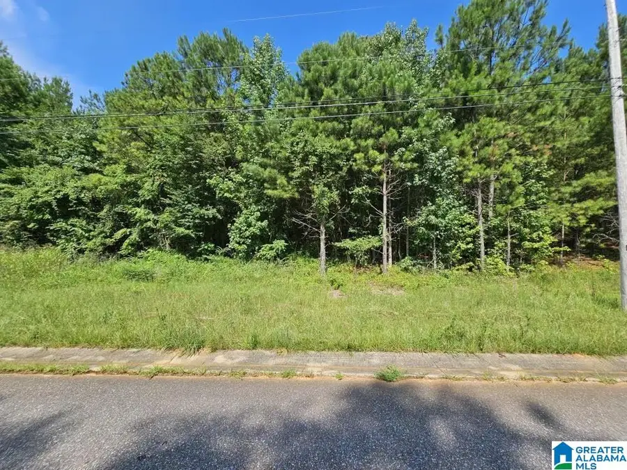 Lot 24 WOODHAVEN DRIVE, Pell City, AL 35128 - Image #3
