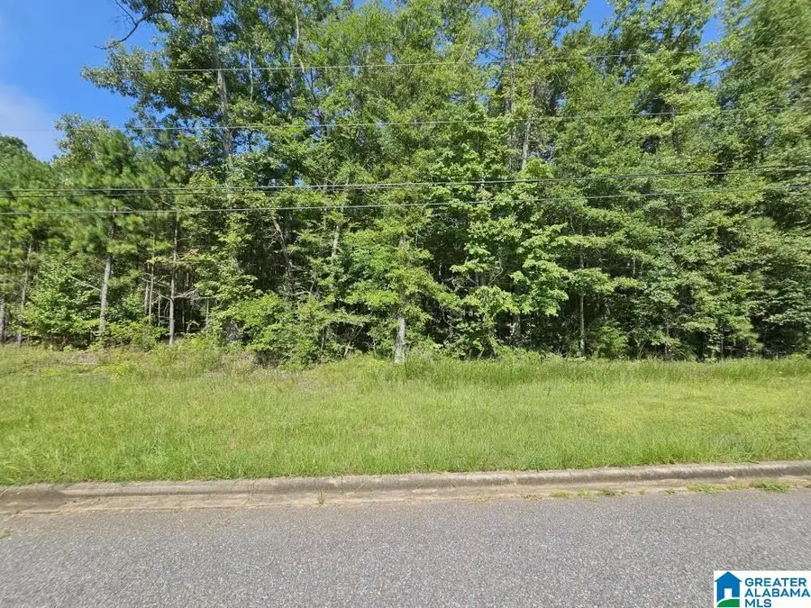 Lot 5 WOODHAVEN DRIVE, Pell City, AL 35128 - Image #3