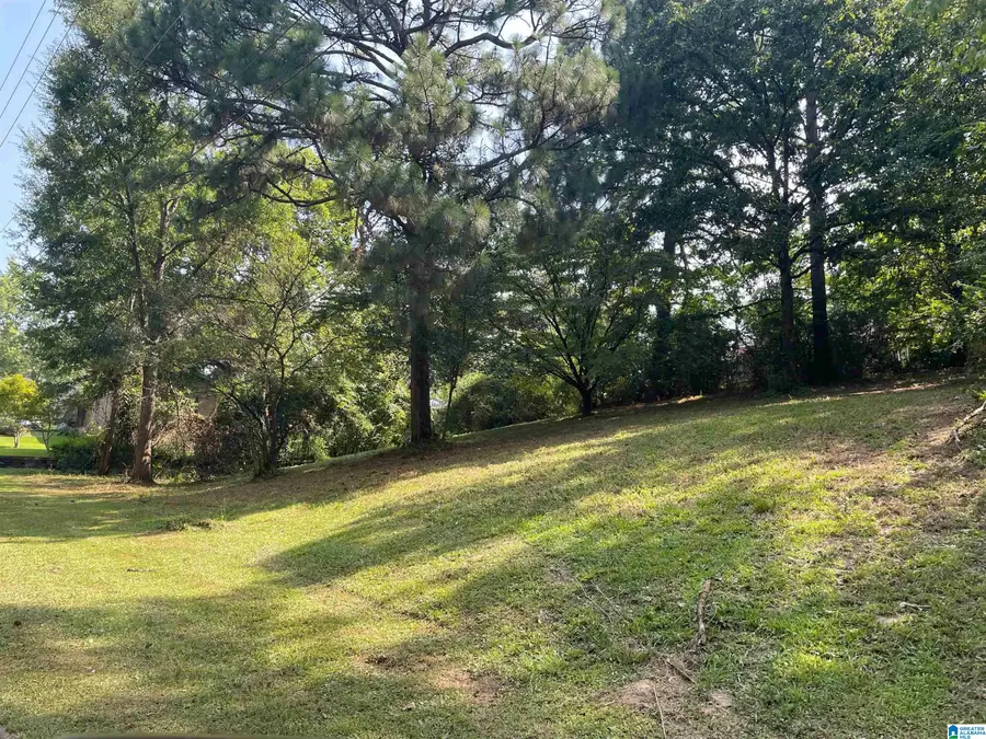 1217 ELIZABETH STREET, Leeds, AL 35094 - Image #2