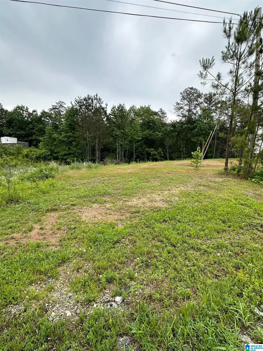 220 VIRGINIA WAY, Margaret, AL 35004 - Image #2