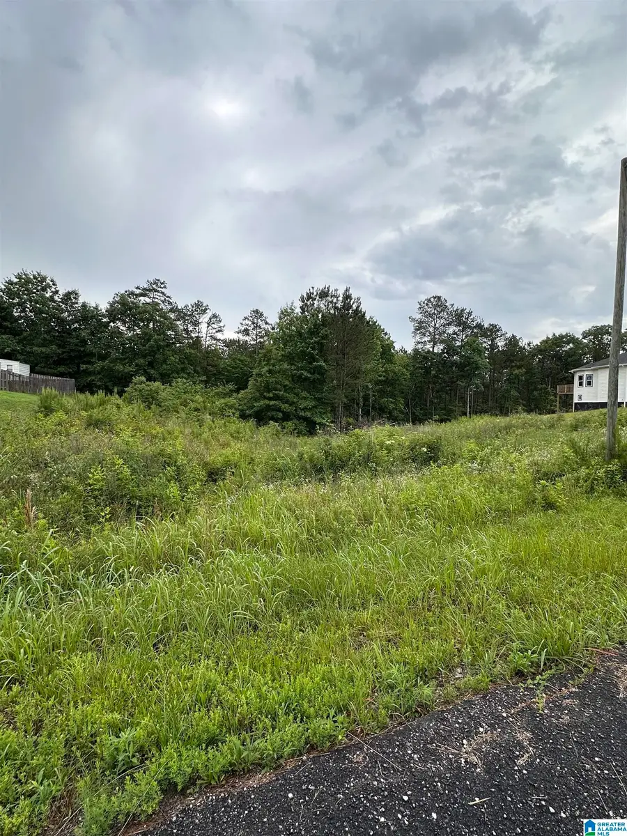 220 VIRGINIA WAY, Margaret, AL 35004 - Image #3