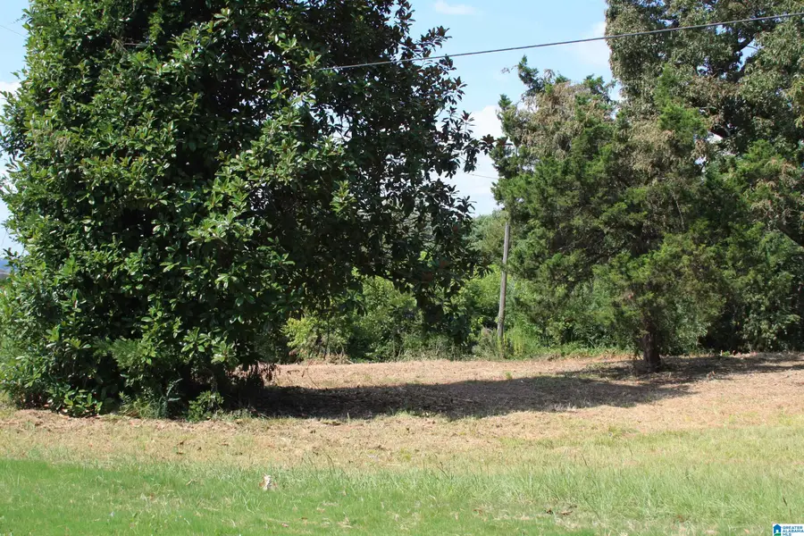 5714 SMOKEY ROAD, Calera, AL 35040 - Image #2