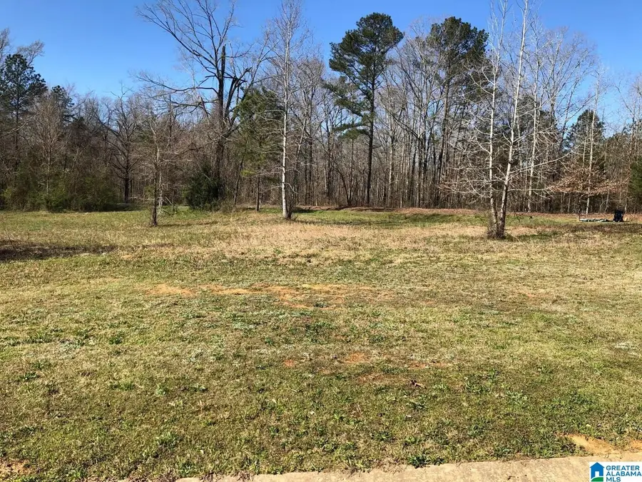 10300 RISING FAWN CIRCLE, Warrior, AL 35180 - Image #2