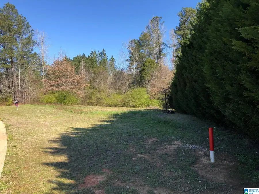 10300 RISING FAWN CIRCLE, Warrior, AL 35180 - Image #3