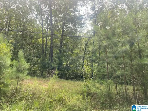 Lot 3 N WALSTON BRIDGE ROAD, Jasper, AL 35504