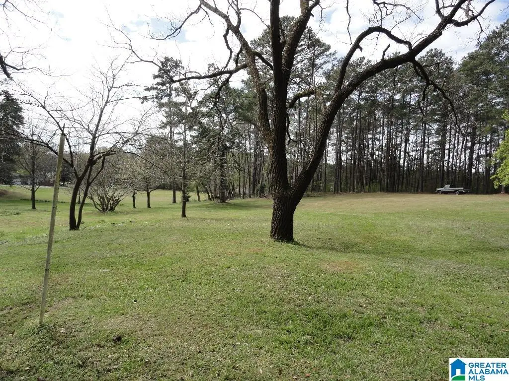 1624 LAKE DRIVE NE, Center Point, AL 35215 - Image #1