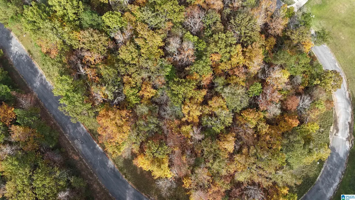 7533 COLONIAL TRACE CIRCLE, Bessemer, AL 35022 - Image #1