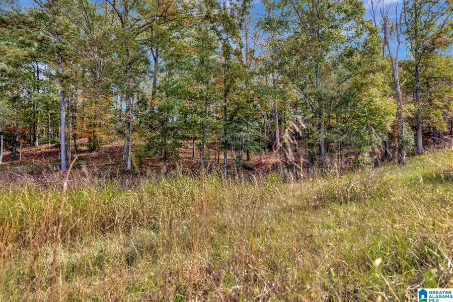 7577 COLONIAL TRACE CIRCLE, Bessemer, AL 35022 - Image #3