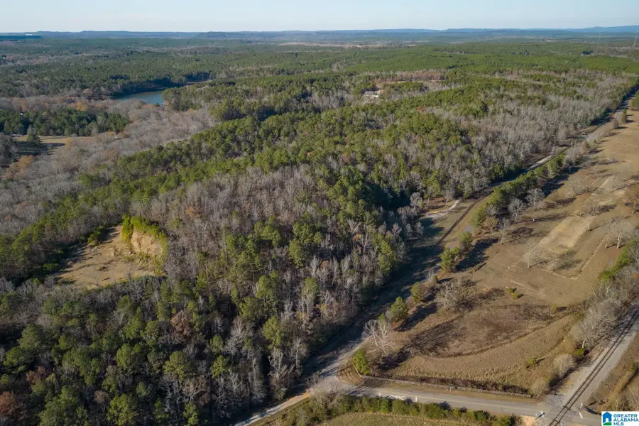 Lot 13/14 HERITAGE LAKE DRIVE, Columbiana, AL 35051 - Image #2