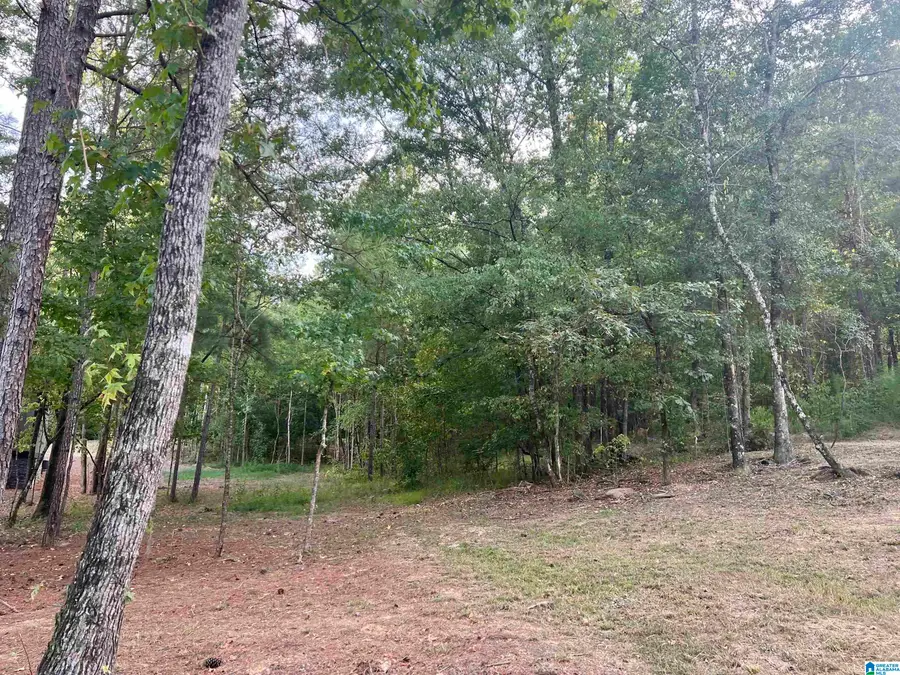 Lot 3B CABIN ROAD, Bessemer, AL 35022 - Image #2