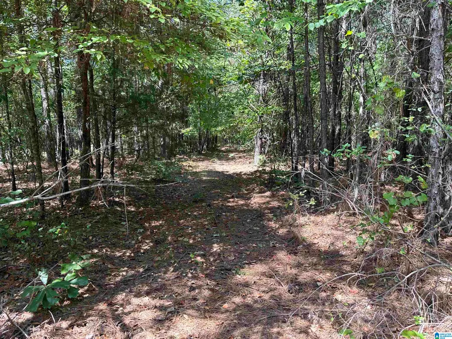 0 COUNTY ROAD 46, Gaylesville, AL 35973 - Image #3