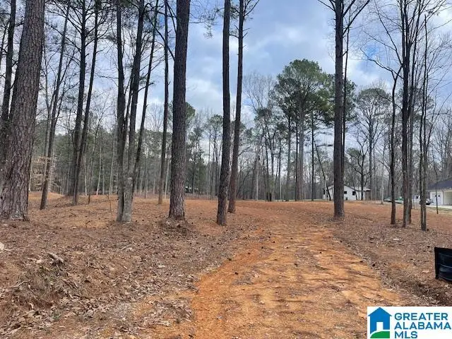 63 HODGENS ROAD, Chelsea, AL 35043 - Image #3