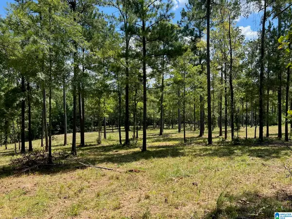 0 HIGHWAY 51, Westover, AL 35186