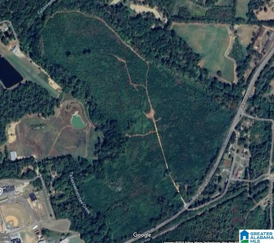 0 WARRIOR ROAD, Ohatchee, AL 36271 - Image #1