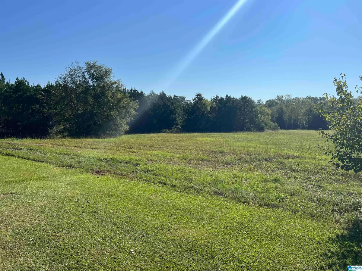 0 US HWY 231, Ashville, AL 35953 - Image #1