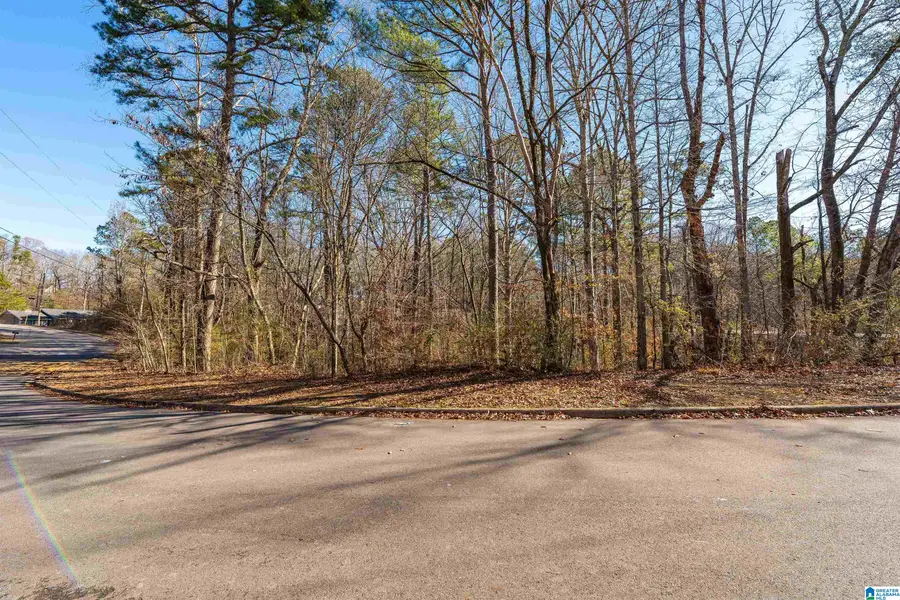 1101 EASTBROOK LANE, Birmingham, AL 35215 - Image #3