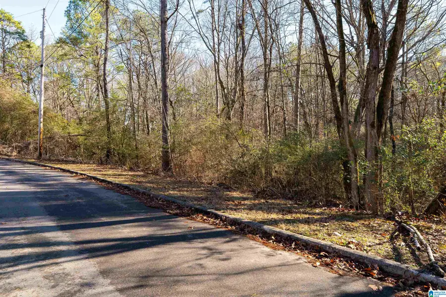 1105 EASTBROOK LANE, Birmingham, AL 35215 - Image #3