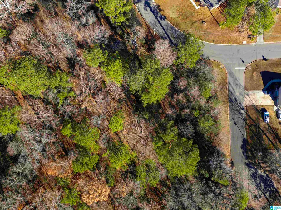 551 EASTBROOK DRIVE, Birmingham, AL 35215 - Image #2