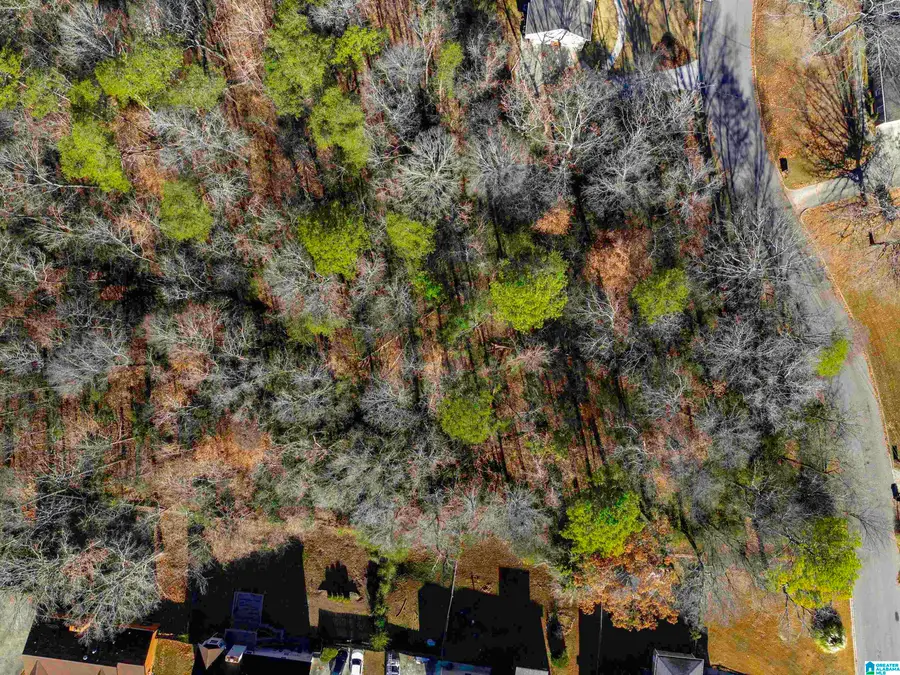 1024 TIMBERLINE TRAIL, Birmingham, AL 35215 - Image #2