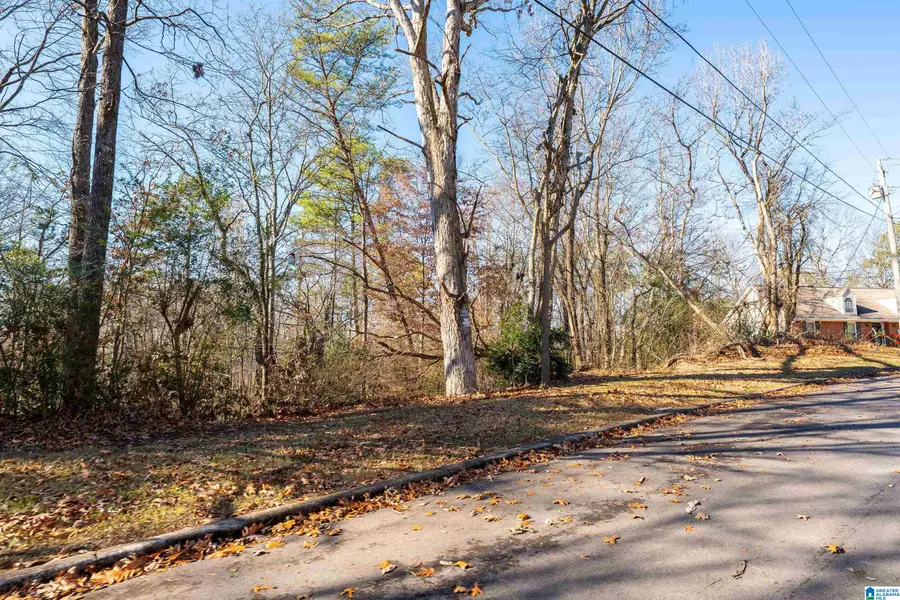 1024 TIMBERLINE TRAIL, Birmingham, AL 35215 - Image #3