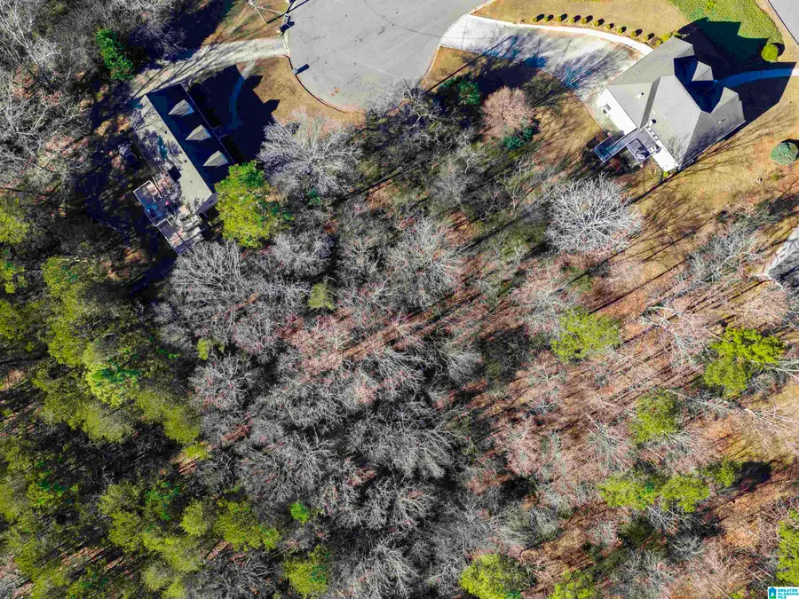1005 TIMBERLINE TRAIL, Birmingham, AL 35215 - Image #2