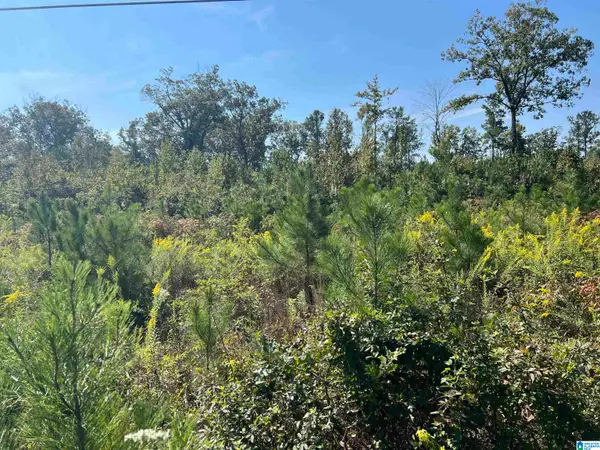 0 SHORE DRIVE, Ashville, AL 35953