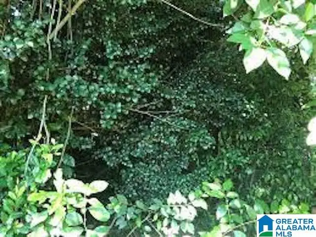 1852 TARRANT HUFFMAN ROAD, Birmingham, AL 35217 - Image #1