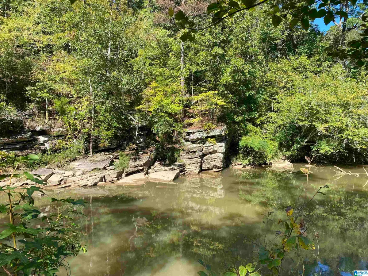 0 WAR EAGLE DRIVE, Bessemer, AL 35022 - #1