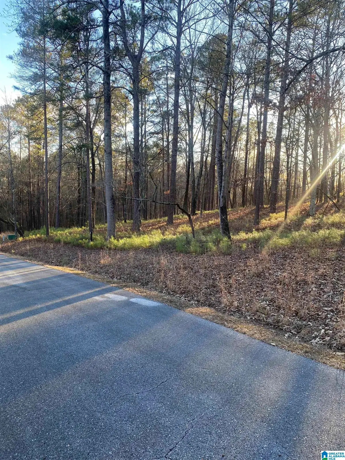 0 VISTA CIRCLE, Alpine, AL 35014 - Image #1