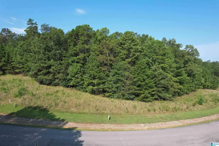 221 STONEY POINT ROAD S, Double Springs, AL 35553 - Image #2