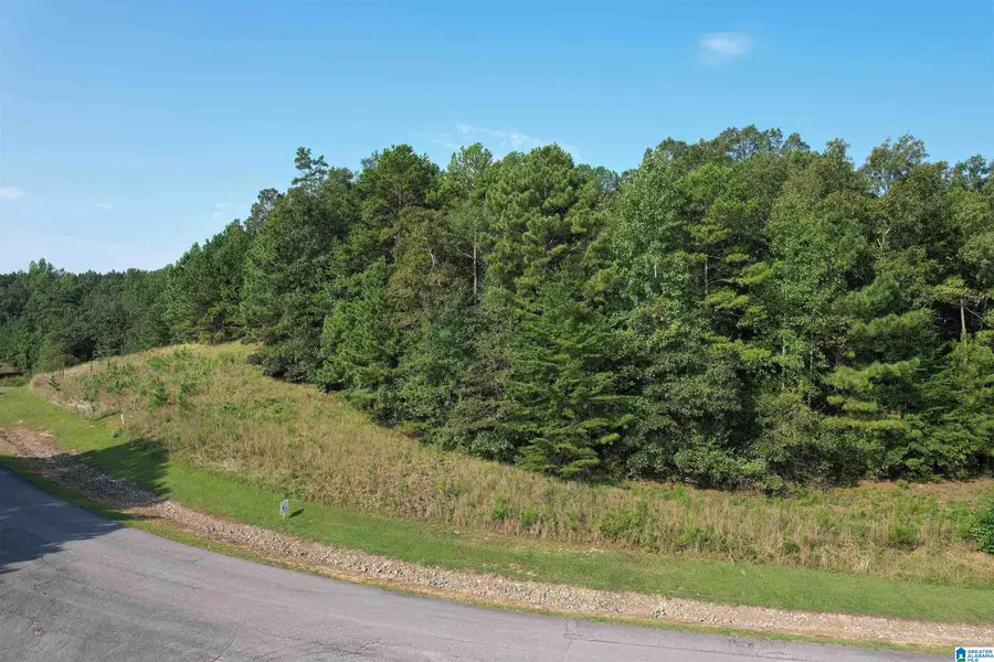 221 STONEY POINT ROAD S, Double Springs, AL 35553 - Image #3