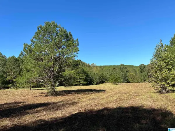 4434 COUNTY ROAD 86, Calera, AL 35040