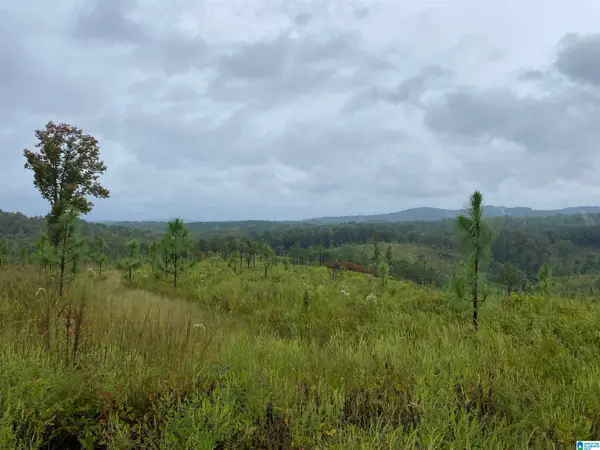 0 COUNTY ROAD 204, Heflin, AL 36264