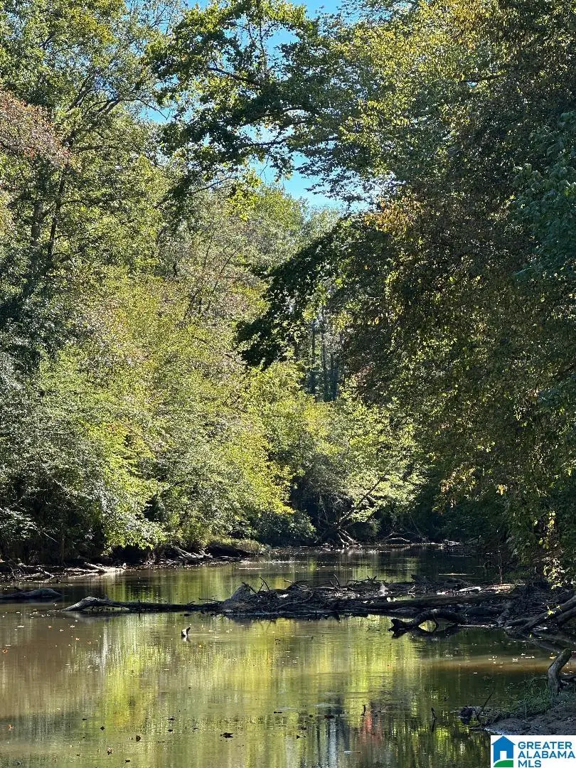 COUNTY ROAD 492, Muscadine, AL 36269 - Image #1