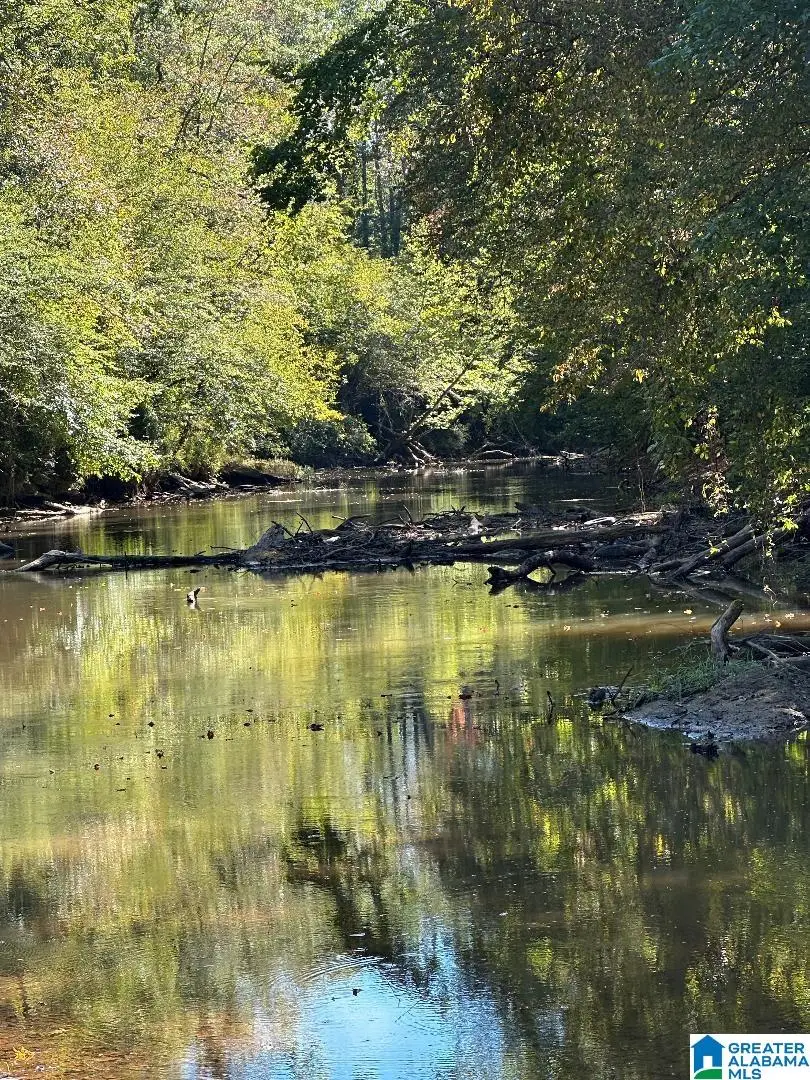 COUNTY ROAD 492, Muscadine, AL 36269 - Image #2