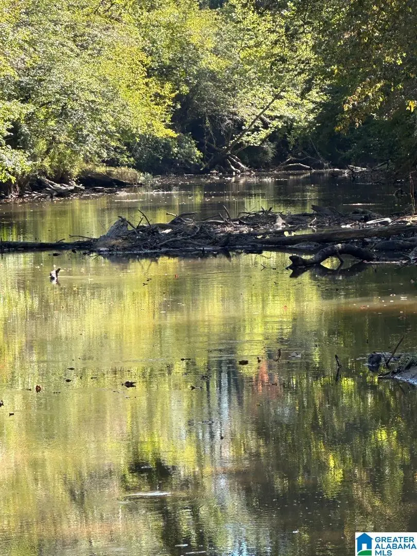 COUNTY ROAD 492, Muscadine, AL 36269 - Image #3