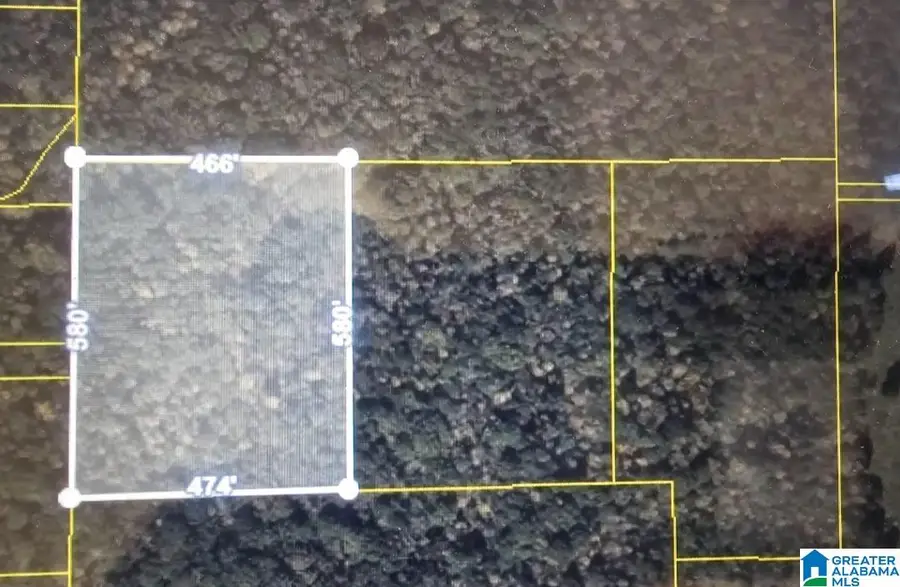 lots 2, 3, 4 DOVE DRIVE, Odenville, AL 35120 - Image #2