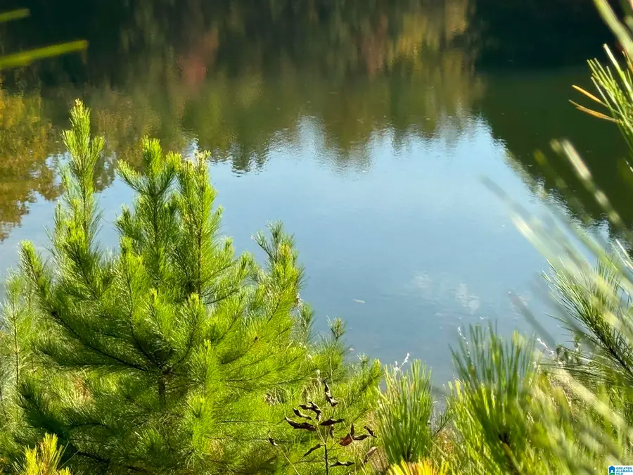 520 HIGHLAND LAKES BOULEVARD, Anniston, AL 36207 - Image #3