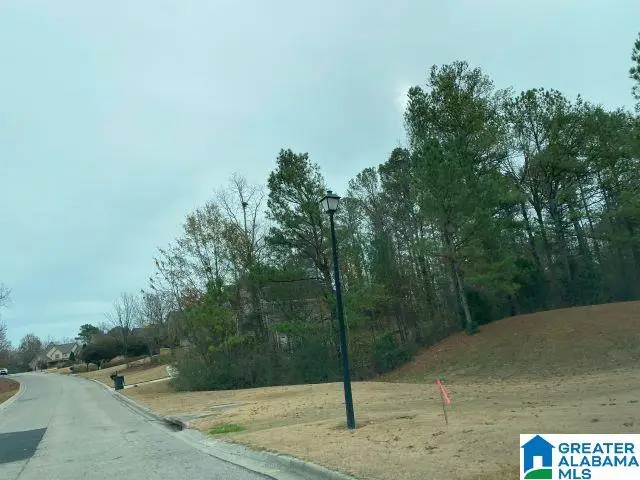 501 TIMBERLINE TRAIL, Calera, AL 35040 - #3